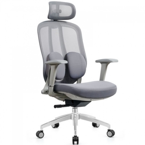 Ghế công thái học GLE04-2