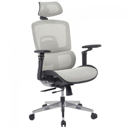 Ghế công thái học GLE12-1