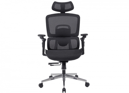 Ghế công thái học GLE12-2