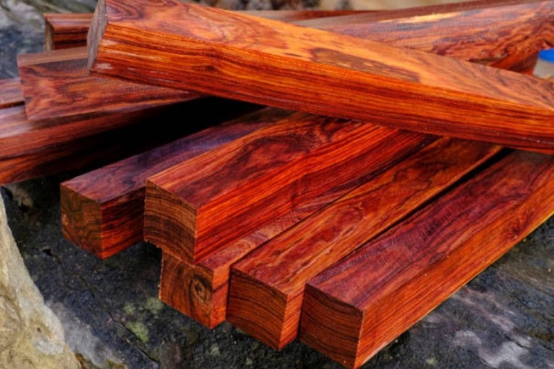 Cây gỗ trắc - Loại cây phổ biến trong thiết kế nội thất