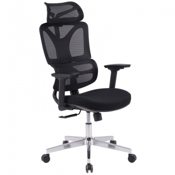 Ghế công thái học GLE19-Đen