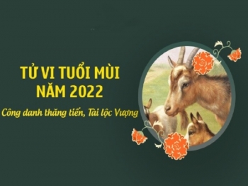 Tử Vi Tuổi Mùi Năm 2022 Và Cách Kê Bàn Làm Việc Mới Nhất